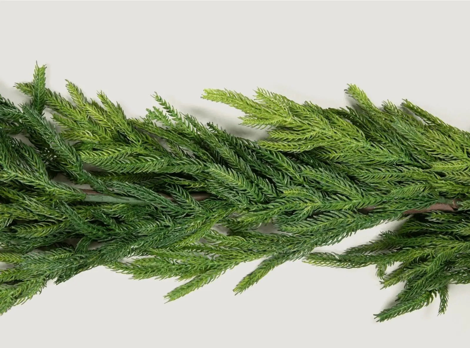 Norfolk pine garland